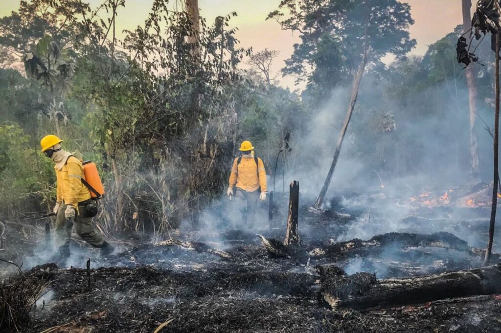 Acre teve 230 mil hectares de áreas queimadas em três meses, segundo relatório