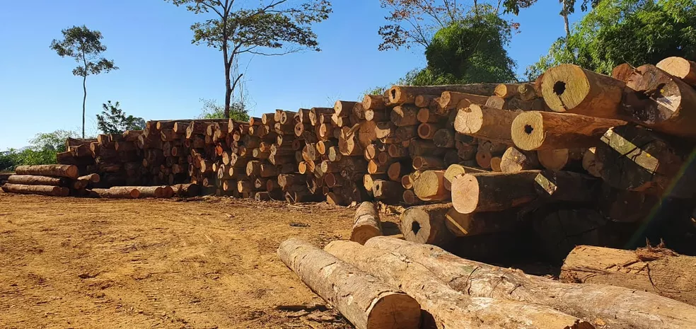 Balança comercial registra superávit de US$ 3,6 milhões em setembro no Acre