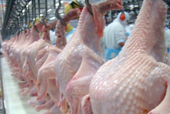 Consumidores de frango em Cruzeiro do Sul, tem sofrido com aumento de 56,5% em um ano; maior alta desde 2004