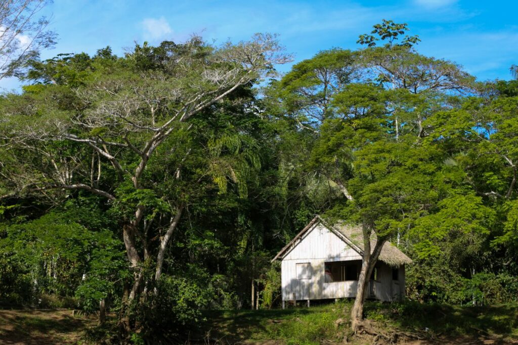 A importância do Acre na 26ª Conferência das Nações Unidas sobre Mudanças Climáticas