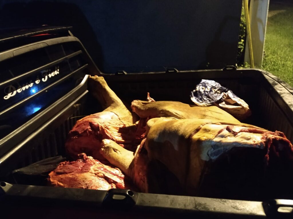 Cinco homens são presos em Guajará (AM) acusados de furto de gado em Cruzeiro do Sul