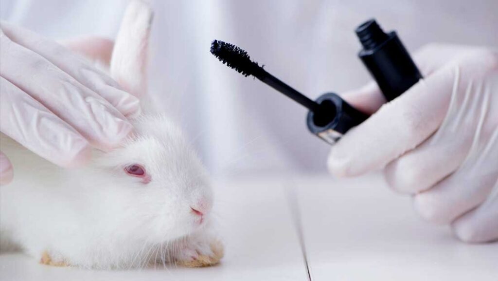 Acre cria lei que proíbe utilização de animais em testes de produtos cosméticos e higiene