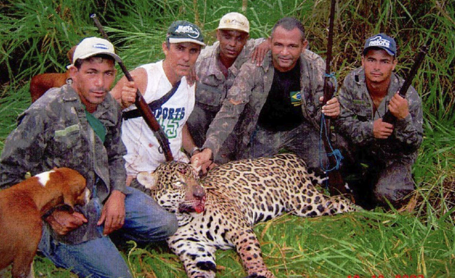 MPF discorda de sentença da justiça e exige punição a caçadores de onça no Acre