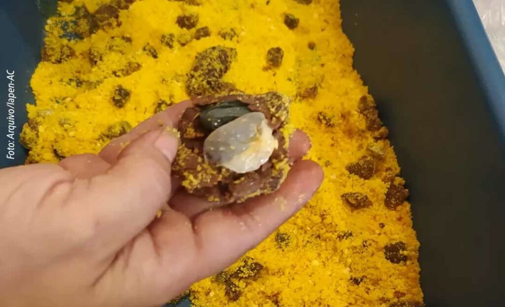 “Farofa de droga” é apreendida em presídio de Sena; mulher levaria o entorpecente para o irmão