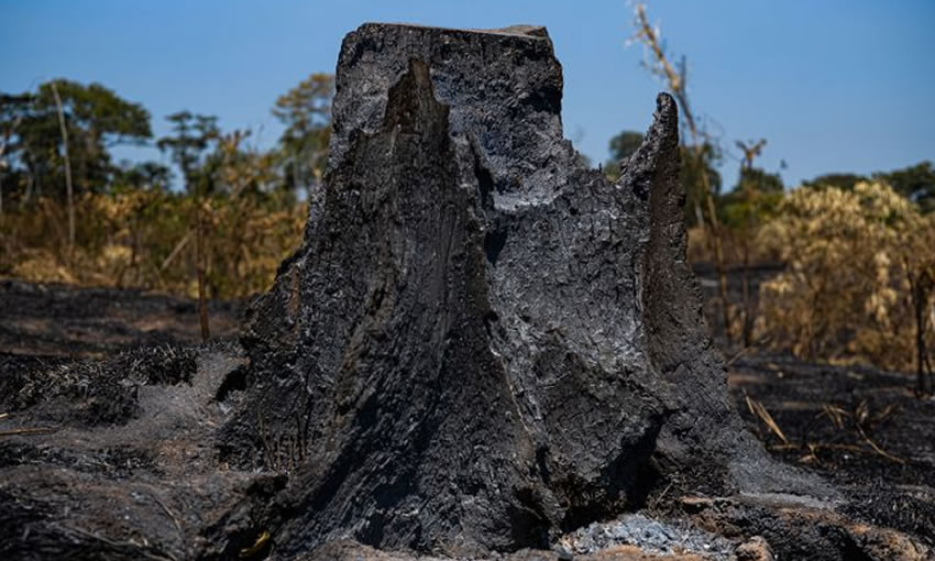 Desmate cai em outubro, mas Reserva Chico Mendes segue entre as 10 mais ameaçadas