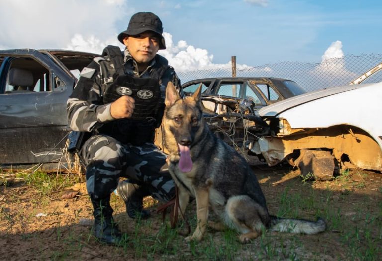 Com 14 cães e sob comando feminino, CPCães realizou apreensão de mais de 100 quilos de drogas em 2021