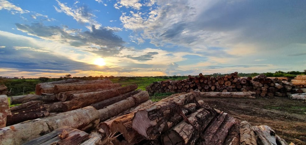 Balança comercial tem superávit de 3,10 milhões de dólares em outubro e Acre registra saldo recorde no ano