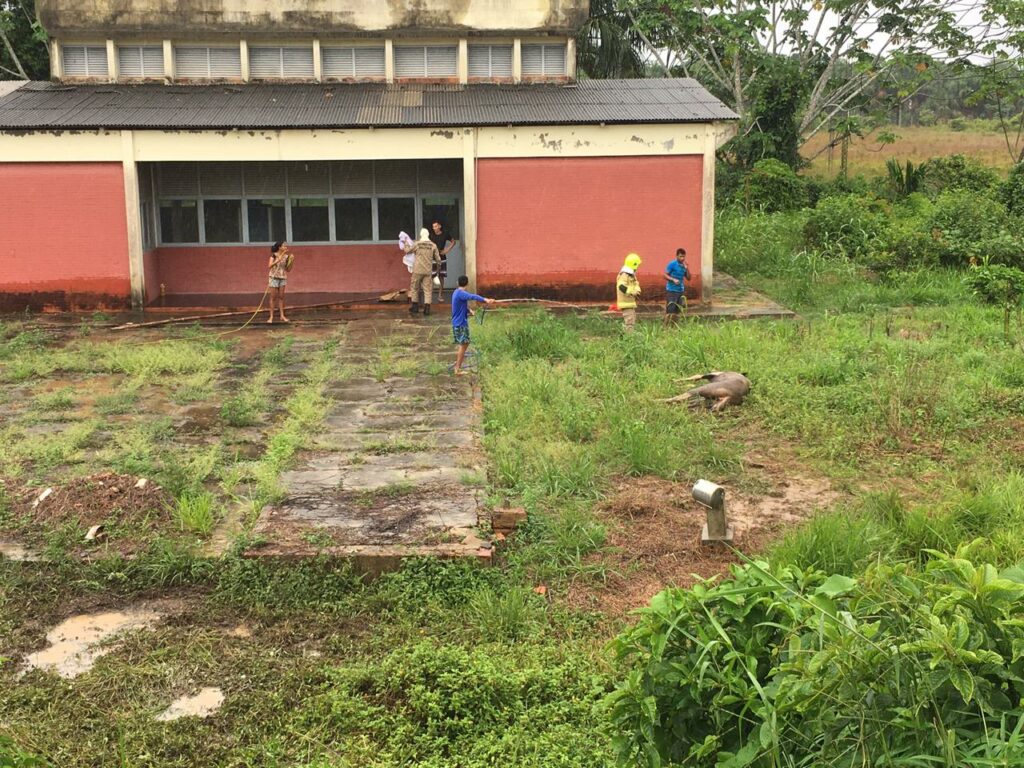 Corpo de Bombeiros de Cruzeiro do Sul alerta para possíveis ataques de abelhas na cidade