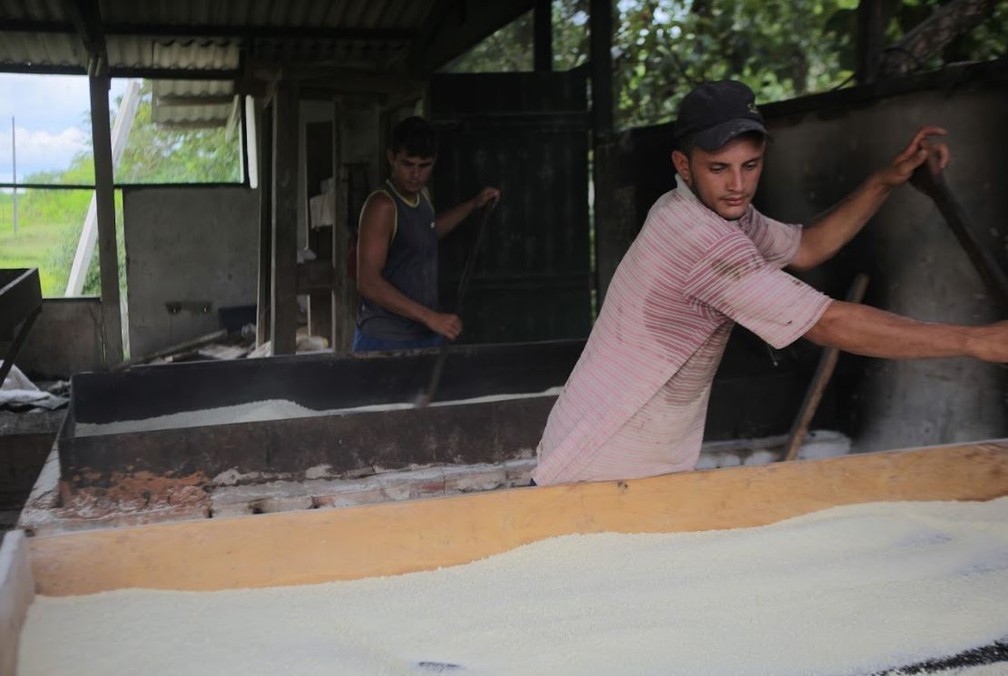 Projeto que paga pequenos agricultores por serviços ambientais quer reduzir desmatamento no Acre