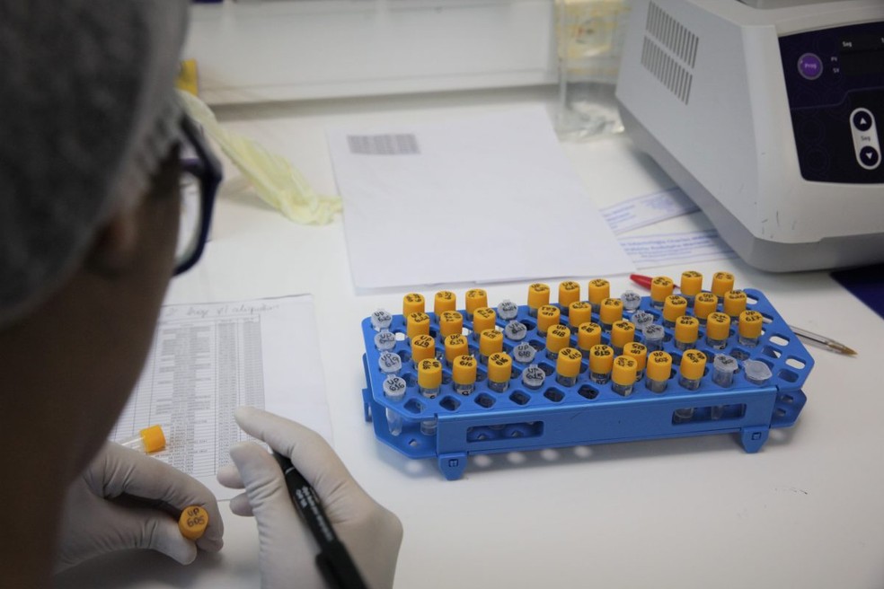 Sem mortes, Acre registra 6 novos casos de Covid-19 neste domingo