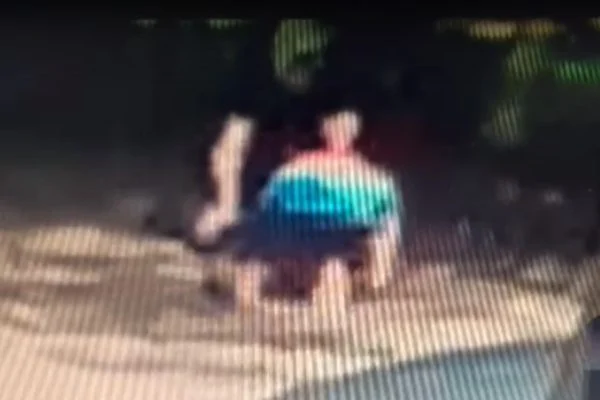 Vídeo mostra PM salvando cachorro em parada cardíaca no Sudoeste