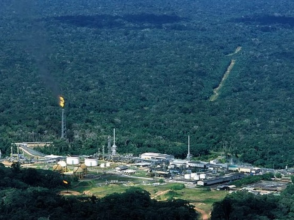 Energia limpa na Amazônia poderia vir da mandioca, couro de peixe e restos de alimentos, diz analista da WWF: ‘é preciso acreditar e depois investir’