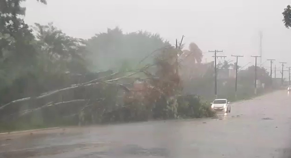 Forte chuva atinge Rio Branco, derruba árvores, causa deslizamento de terra e rio segue subindo