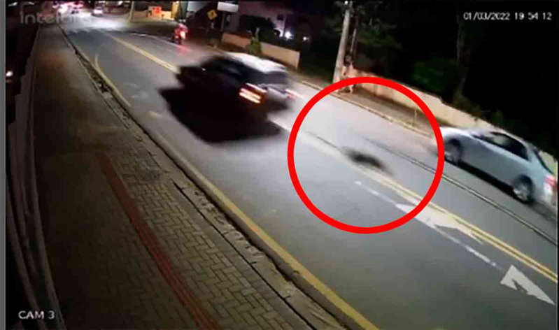 Motorista é preso após amarrar cão no carro e o arrastar pelas ruas; veja o vídeo