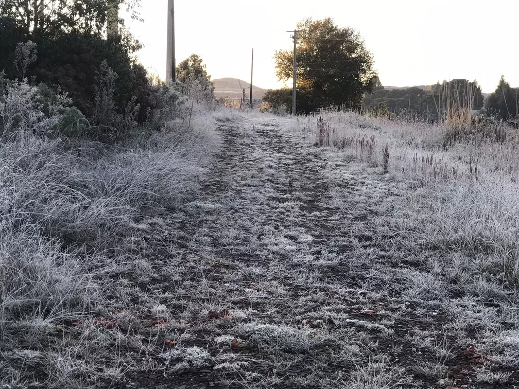 Santa Catarina tem 3 regiões abaixo de zero e mínima de -5,37ºC