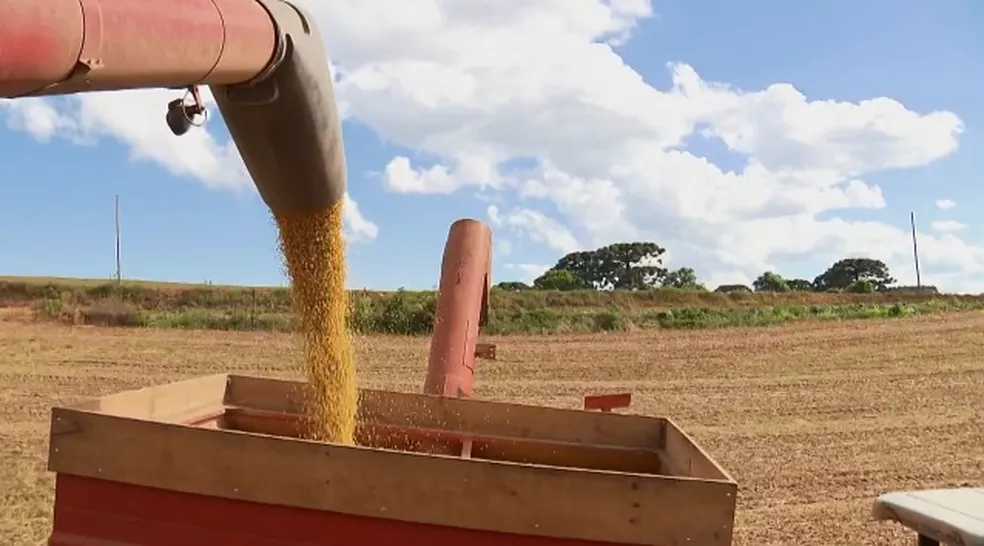 Economia acreana exportou mais de 53,5 milhões de dólares em 12 meses