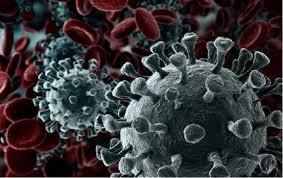 Não foram registrados novos casos de coronavírus nesta quinta-feira