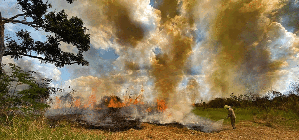 MPAC reativa força-tarefa para o combate às queimadas e aos desmatamentos ilegais