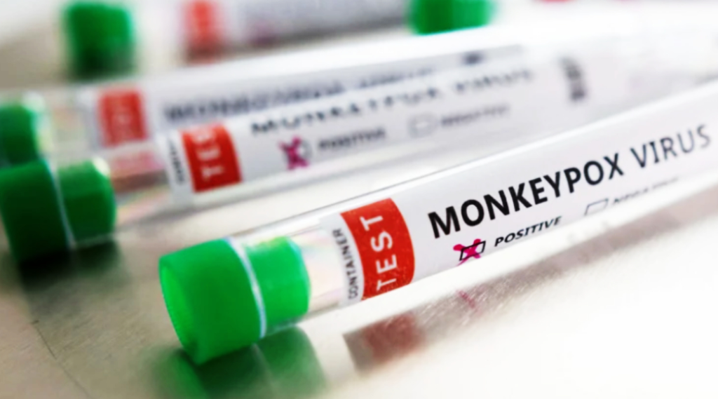 Estudo aborda transmissão de varíola dos macacos por superfície