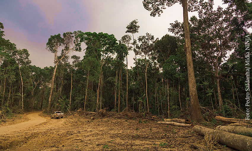 Resex Chico Mendes se mantém entre líderes da devastação na Amazônia
