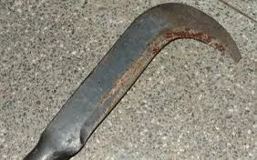 Patrão tenta matar funcionário a golpe de foice após discussão em fazenda no interior do Acre