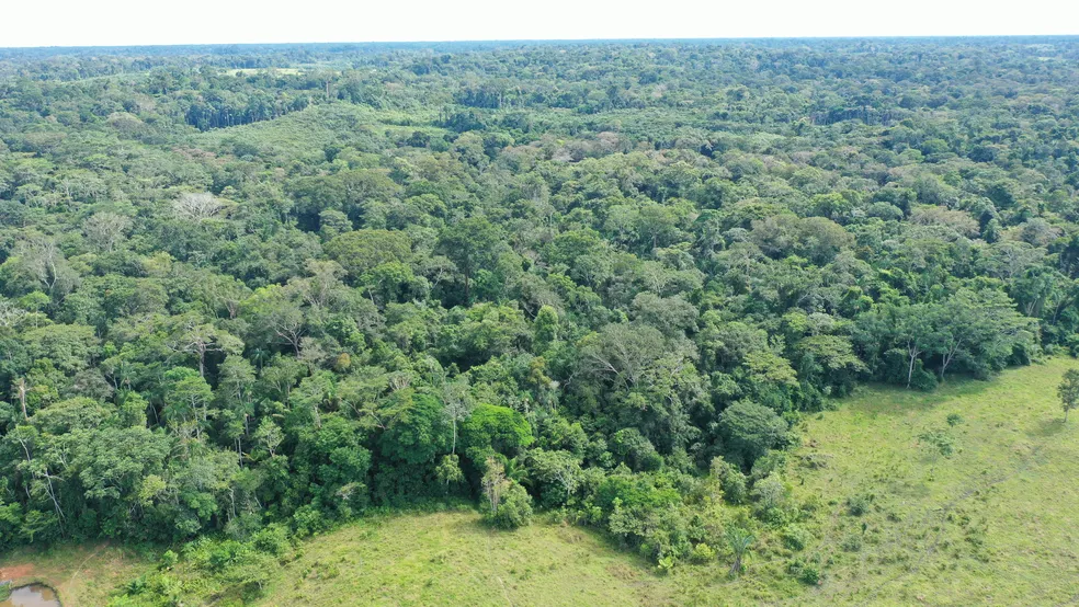 Uso de geotecnologia barateia inventário florestal e passa a medir estoque de carbono no Acre