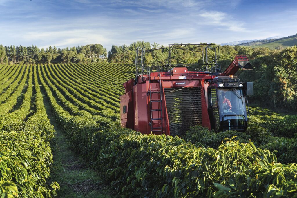 Colheita de café no Brasil supera 50 milhões de sacas