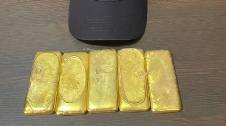 PF deflagra operação para identificar grupo que extraiu 300 quilos de ouro em terras indígenas