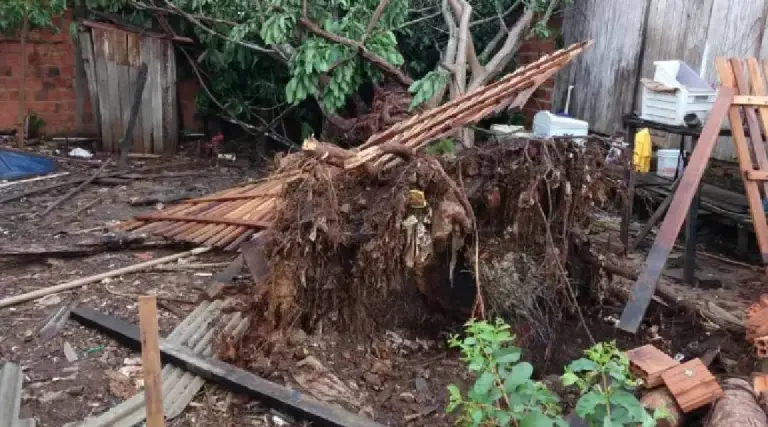 Inmet adverte: Acre está na rota de temporais que devastaram litoral paulista