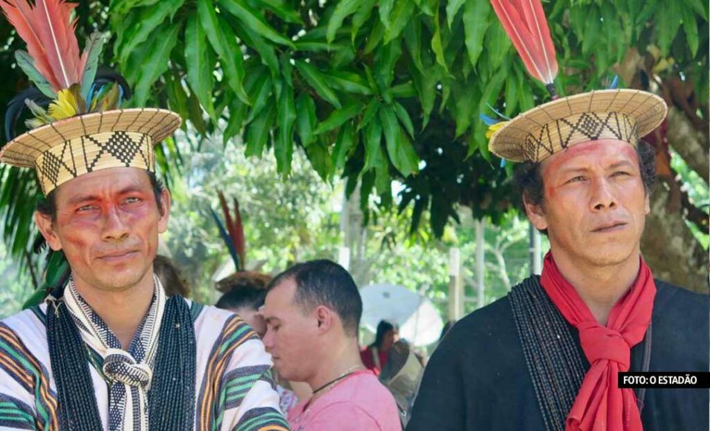 Liderança indígena no Acre é acusada de denúncia caluniosa após relatar ameaças de madeireiros