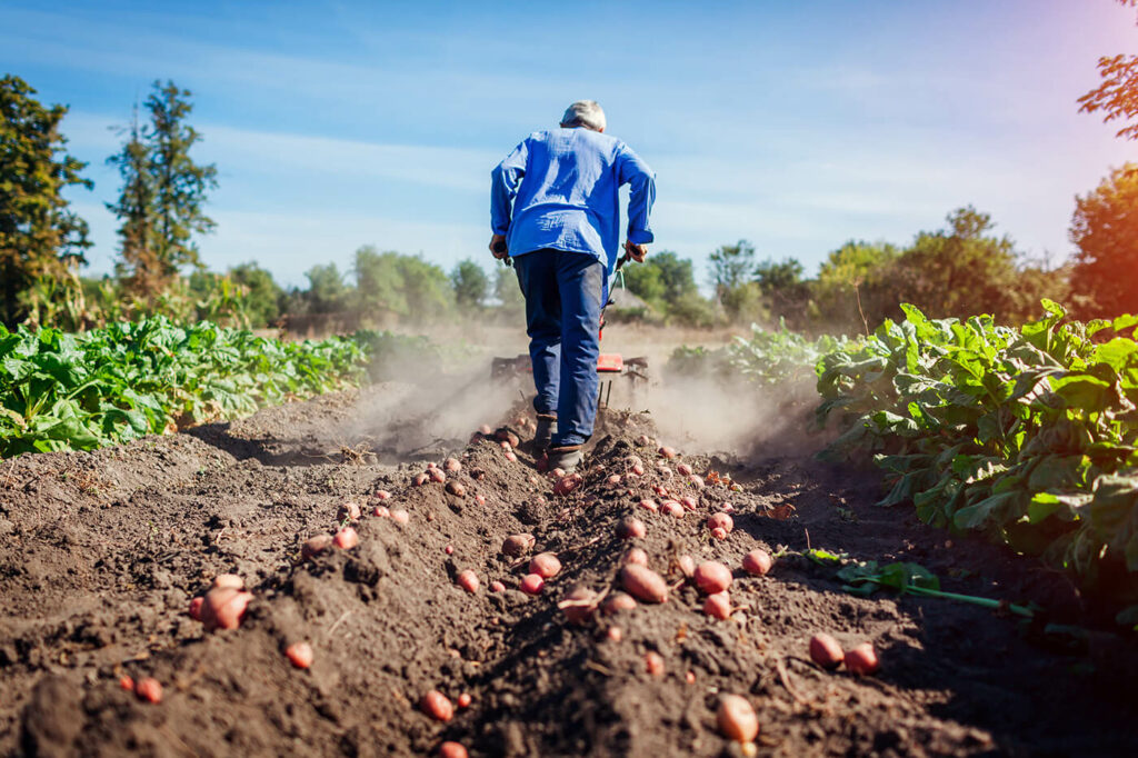 No Acre, agro e comércio reduzem impacto do desemprego