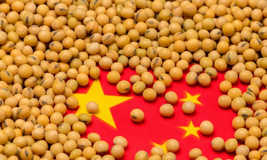 Exportação da soja do Acre para a China crescerá 1.297% até 2030