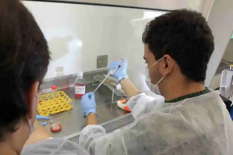 Ministério da Saúde estuda inclusão de nova vacina contra dengue no SUS