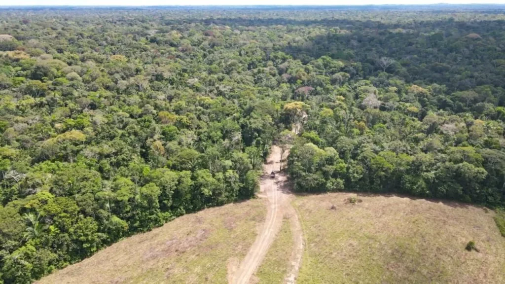 MPF recorre para suspender construção de estrada no Acre que impacta terra indígena