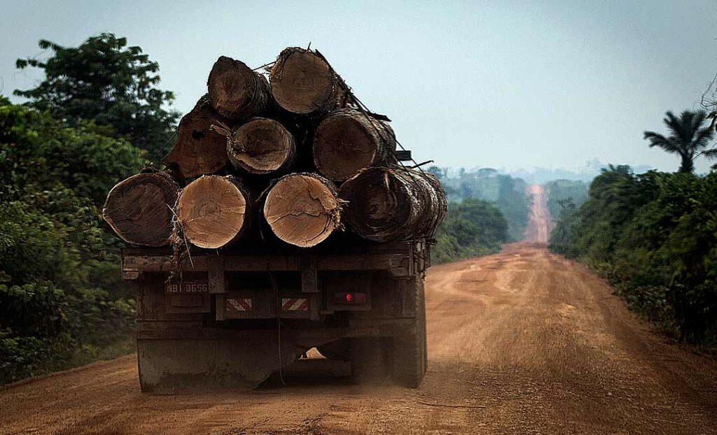 Não há inocentes: IBAMA fez pente fino em madeireiros e fazendeiros com seguidas infrações ambientais por desmatamento ilegal nos últimos anos