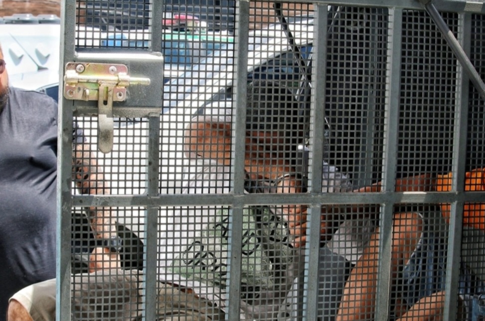 Pai e padrasto são presos suspeitos de estuprar filha e enteada