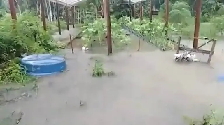 Temporal provoca submersão de plantações, em Cruzeiro do Sul