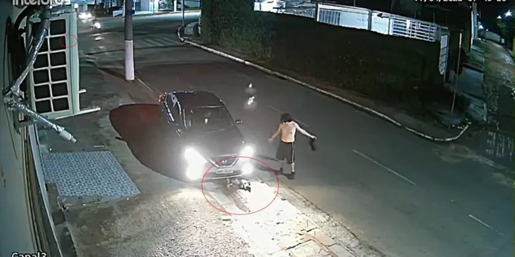 Cachorra, arrastada por homem em carro da esposa, morre três dias após atropelamento