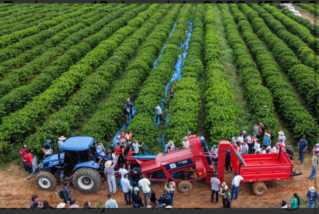 Concurso quer provar potencial da cultura do café no Acre