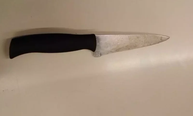 Padrasto morre durante discussão após ser esfaqueado no peito por menina de 11 anos