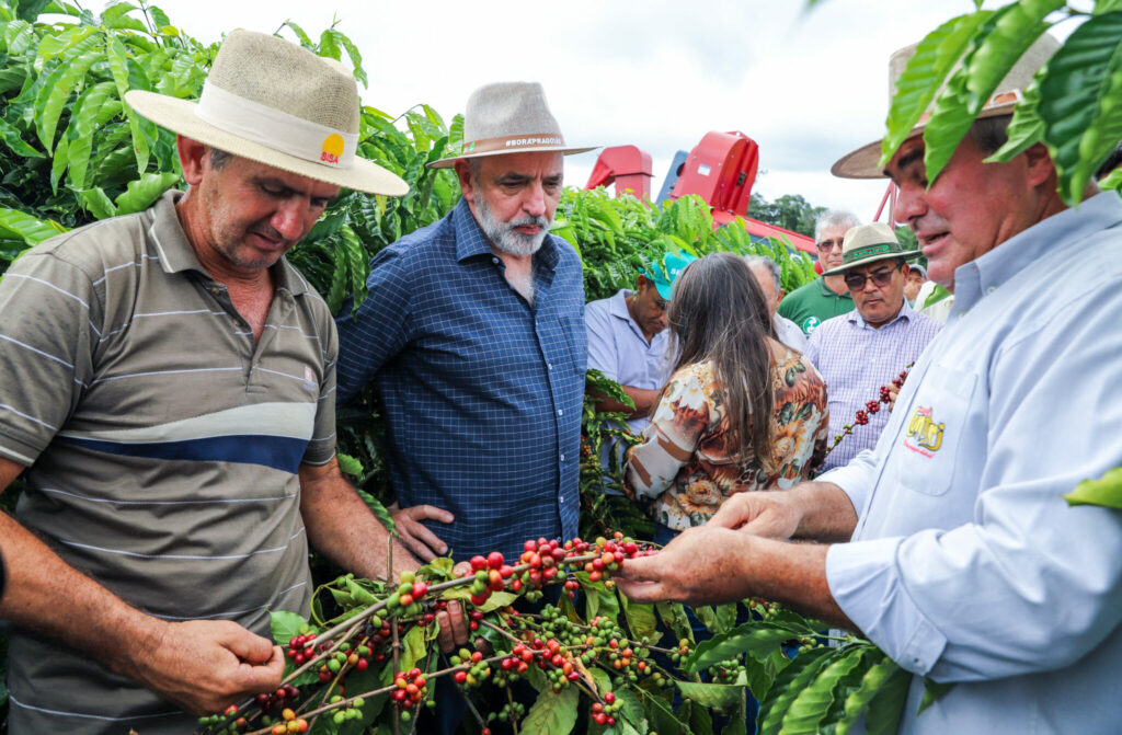 Estado promove lançamento oficial da colheita do café em Acrelândia