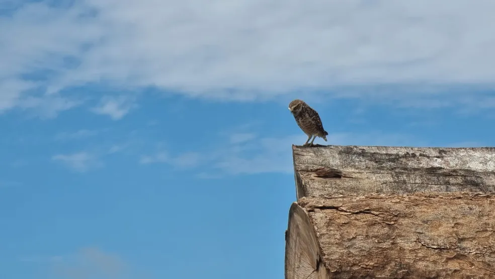 Em todo o Acre, a quinta-feira (18) será de sol forte e calor