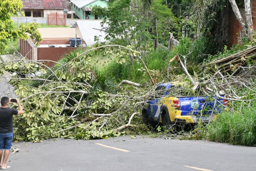 Em Cruzeiro do Sul, árvore derrubada atinge carro da SEMTRANS estacionado