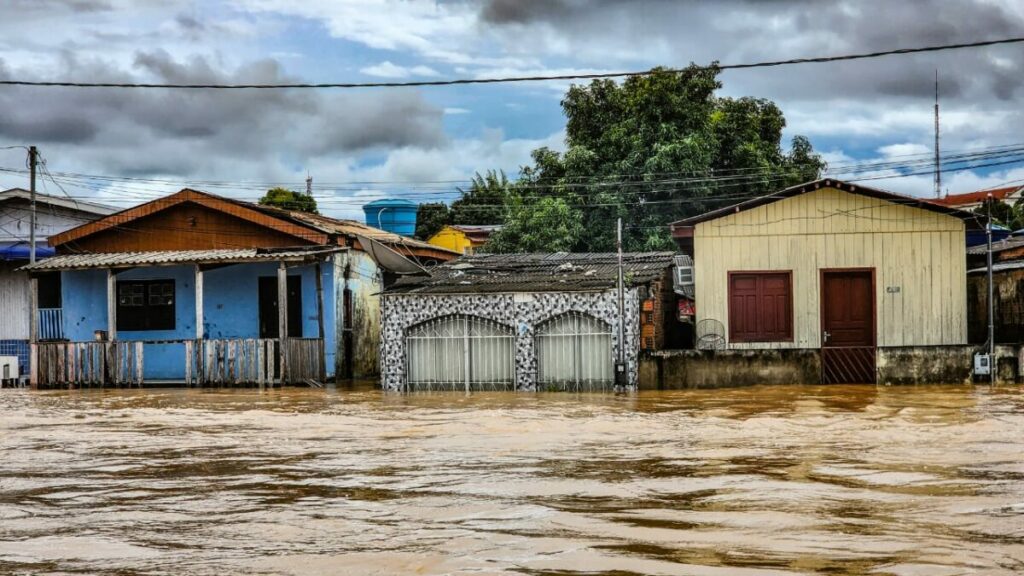Inteligência do Google passa a prever enchentes, desmatamento e incêndios no Acre