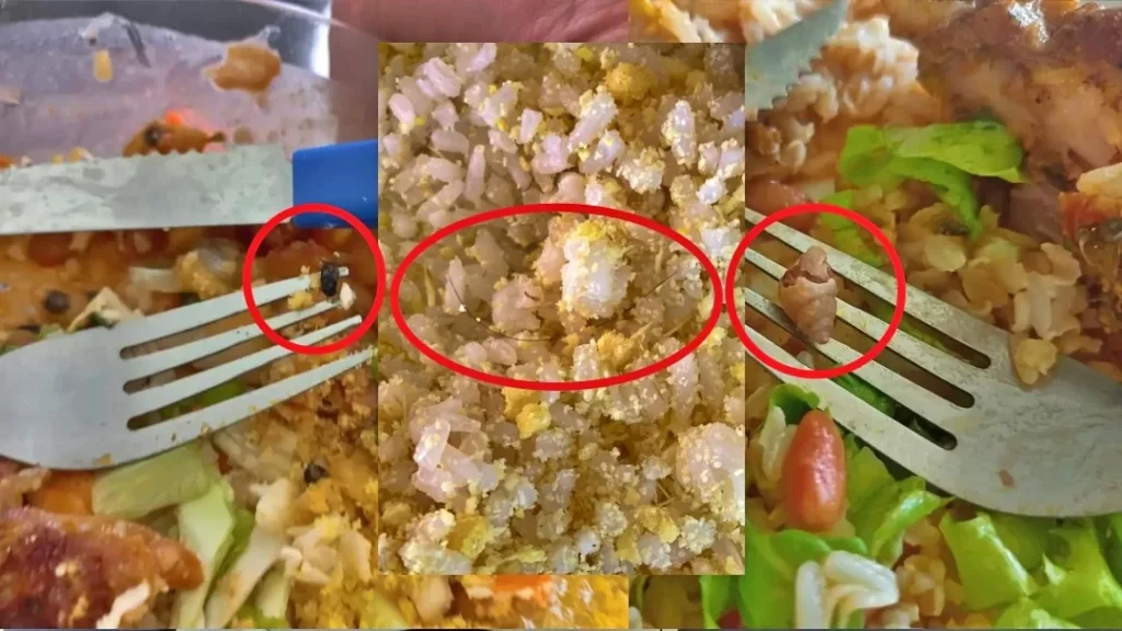 Estudantes mostram comida de restaurante universitário com caramujo, cabelo e besouro