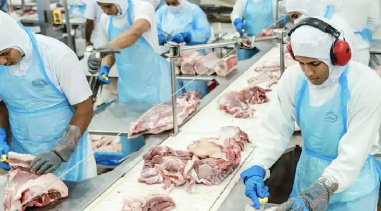 Abate de suínos e bovinos cresce no Acre, mostra IBGE