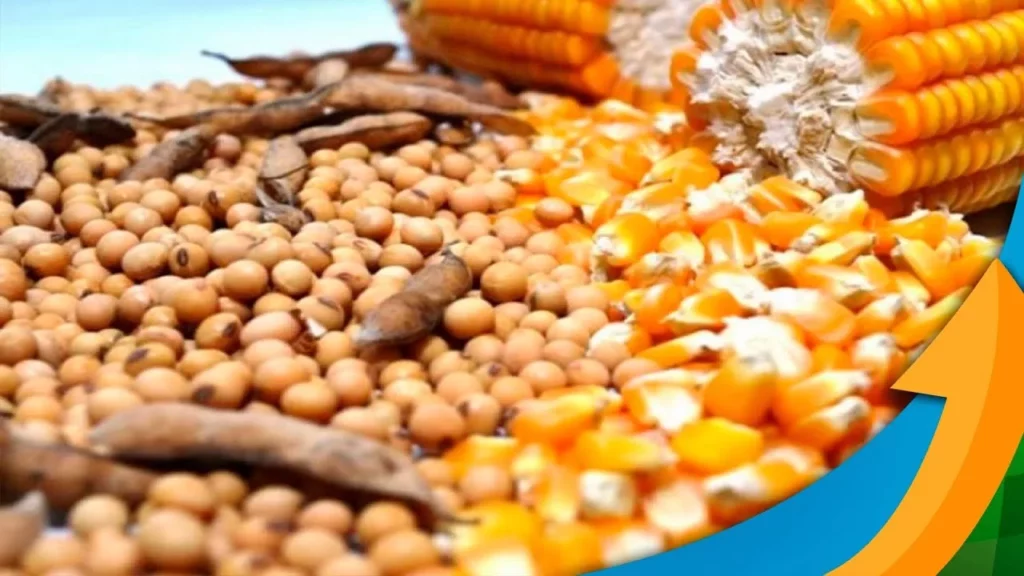 Valor da produção do Acre é superior a de cinco Estados em 2023