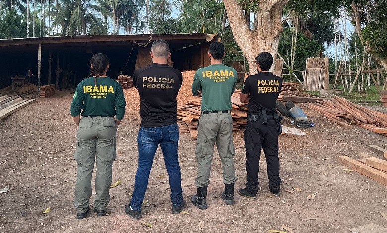 Polícia Federal e IBAMA prendem suspeitos por comércio ilegal de madeira em Guajará (AM)