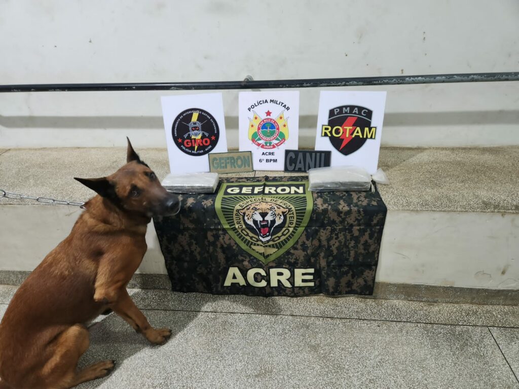 Dois quilos de drogas são apreendidos durante abordagem em ônibus na BR-364