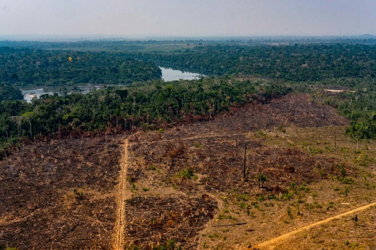 Pesquisadores estudam alternativas econômicas ao desmatamento no Acre